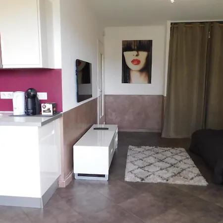 Studio Standing Avec Parking Les Calanques D'Or Appartamento Antibes
